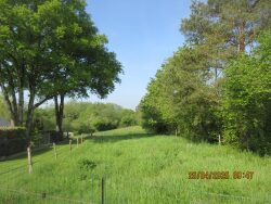 chambre-rez-de-chaussee