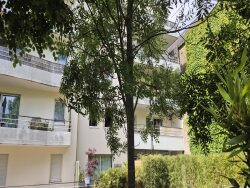 vue-loire