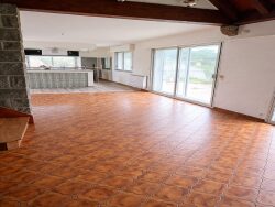 sejour-avec-cheminee-et-volume-atypique