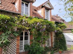 dependance-sur-le-terrain-modifie-ia