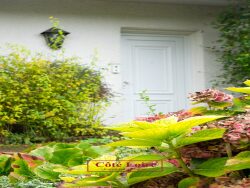 proposition-entree-ia