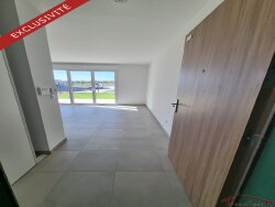 photo4