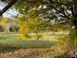 photo-non-contractuelle