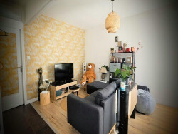 salon--salle-a-manger