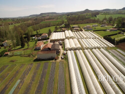15-hectare-de-serre