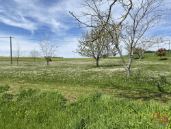 hall-d-entree-maison-principale-