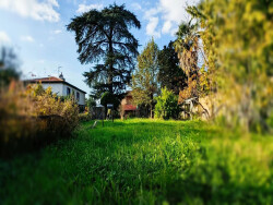 jardin-avant