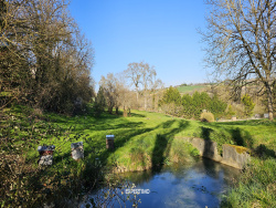 piscine-