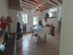 salon-