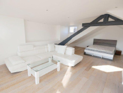 sde-duplex