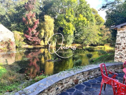 l-etang-et-son-ile-