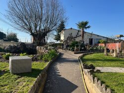 piece-de-reception-generale