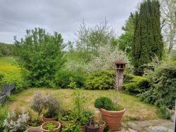 jardin-arriere