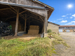 reorganisee-grace-a-l-ia