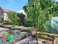 jardin-permaculture-andouille