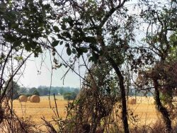 maison-a-vendre-le-ham-53-