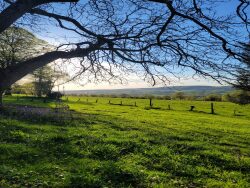 maison-a-vendre-st-georges-sur-erve-