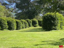 vestige-escalier-chateau-medieval