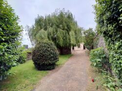 maison-a-vendre-courcite-salon