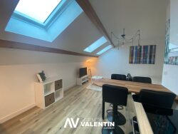 salon-sejour