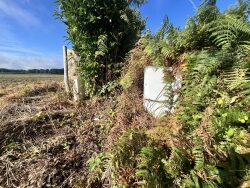 a-vendre-terrain-languidic