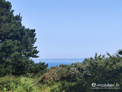 appentis-
