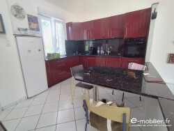 sejour-ouvert-sur-terrasse