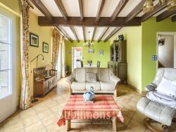 a-vendre-languidic