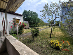 avec-pignon-