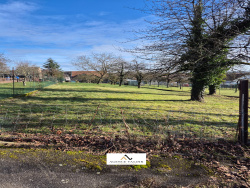 vue-du-fond-du-jardin