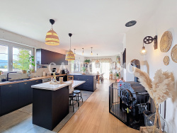 cuisine-equipee-ouverte-sur-piece-de-vie