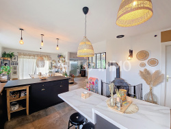 cuisine-equipee-ouverte-sur-piece-de-vie