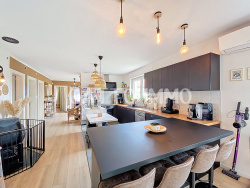 cuisine-equipee-ouverte-sur-piece-de-vie