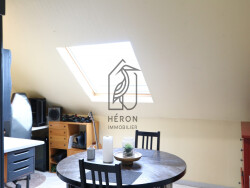 appartement-t2-en-mezzanine