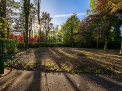image-generee-par-l-ia