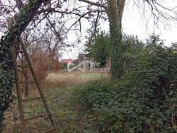 chemin-commun