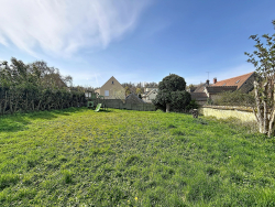 photo5