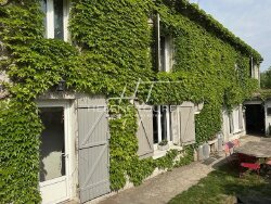 photo17