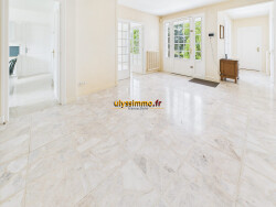 salon-cheminee