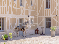 photo12