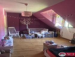 photo8