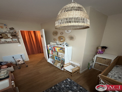 photo8
