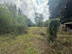 59030515bjpg