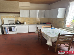 photo13