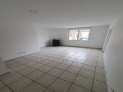 maison-t2-longuenesse---sejour-vue-2