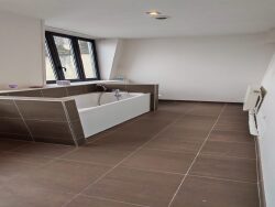 salle-de-bains-avec-baignoire-et-douche