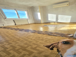 salon-salle-a-manger