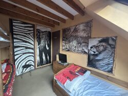 appartement-duplex-stella