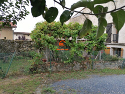 maison-t3-a-louer-a-ravel---bsle-cournon