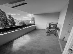 photo2